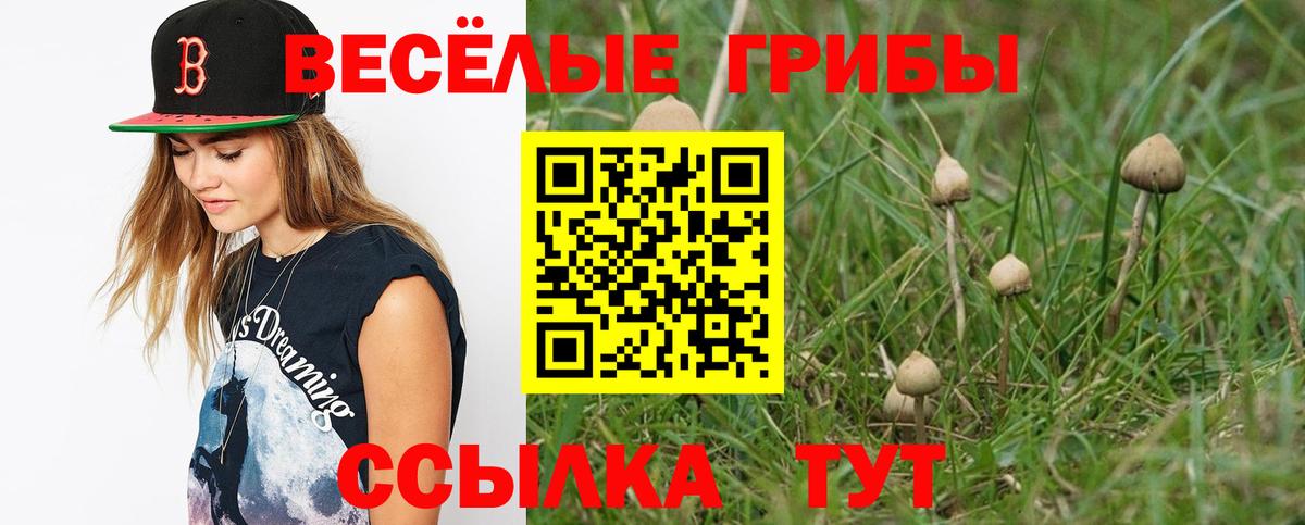 Галлюциногенные грибы мицелий  Галлюциногенные грибы ЛСД  Волжск  Вход с VPN 